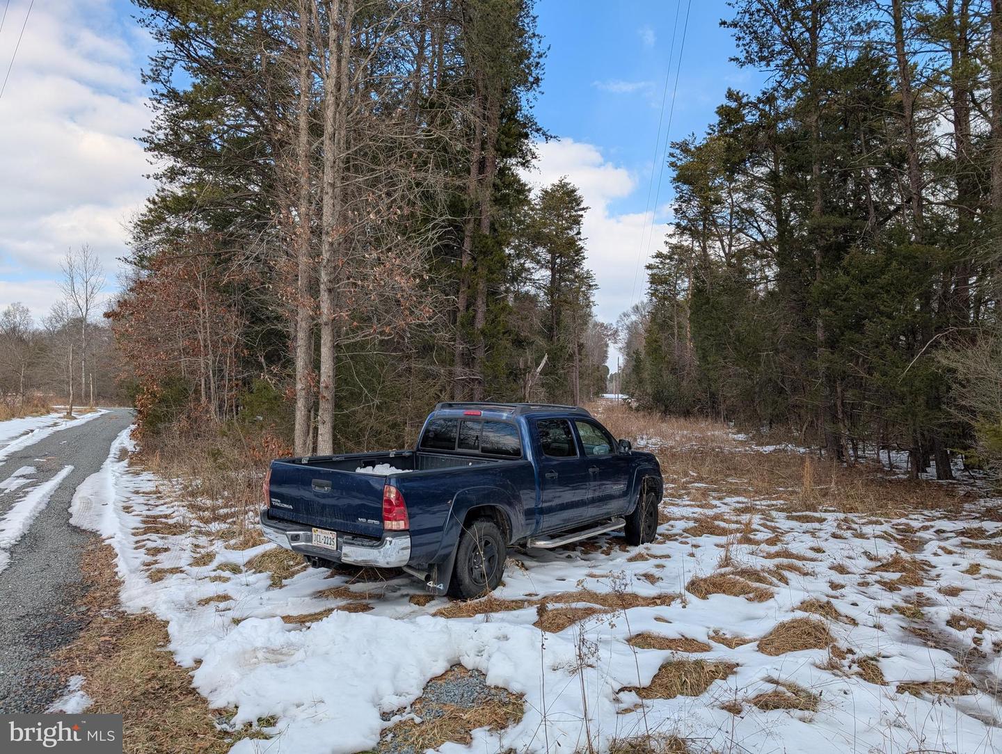 RAPIDAN ROAD, RAPIDAN, Virginia 22733, ,Land,For sale,RAPIDAN ROAD,VACU2009782 MLS # VACU2009782