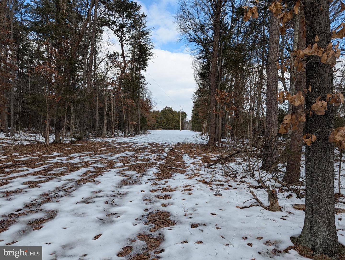 RAPIDAN ROAD, RAPIDAN, Virginia 22733, ,Land,For sale,RAPIDAN ROAD,VACU2009782 MLS # VACU2009782