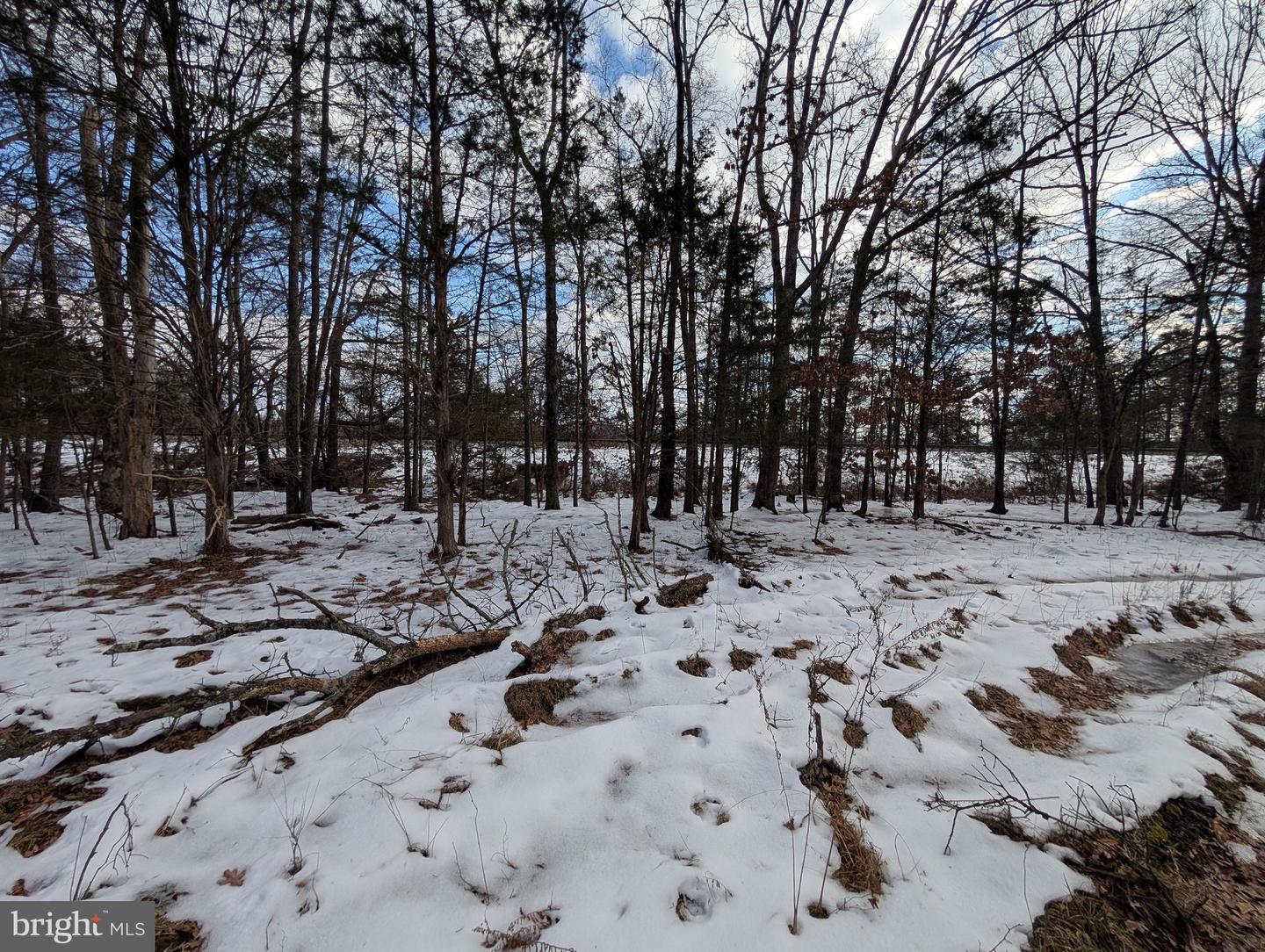 RAPIDAN ROAD, RAPIDAN, Virginia 22733, ,Land,For sale,RAPIDAN ROAD,VACU2009782 MLS # VACU2009782