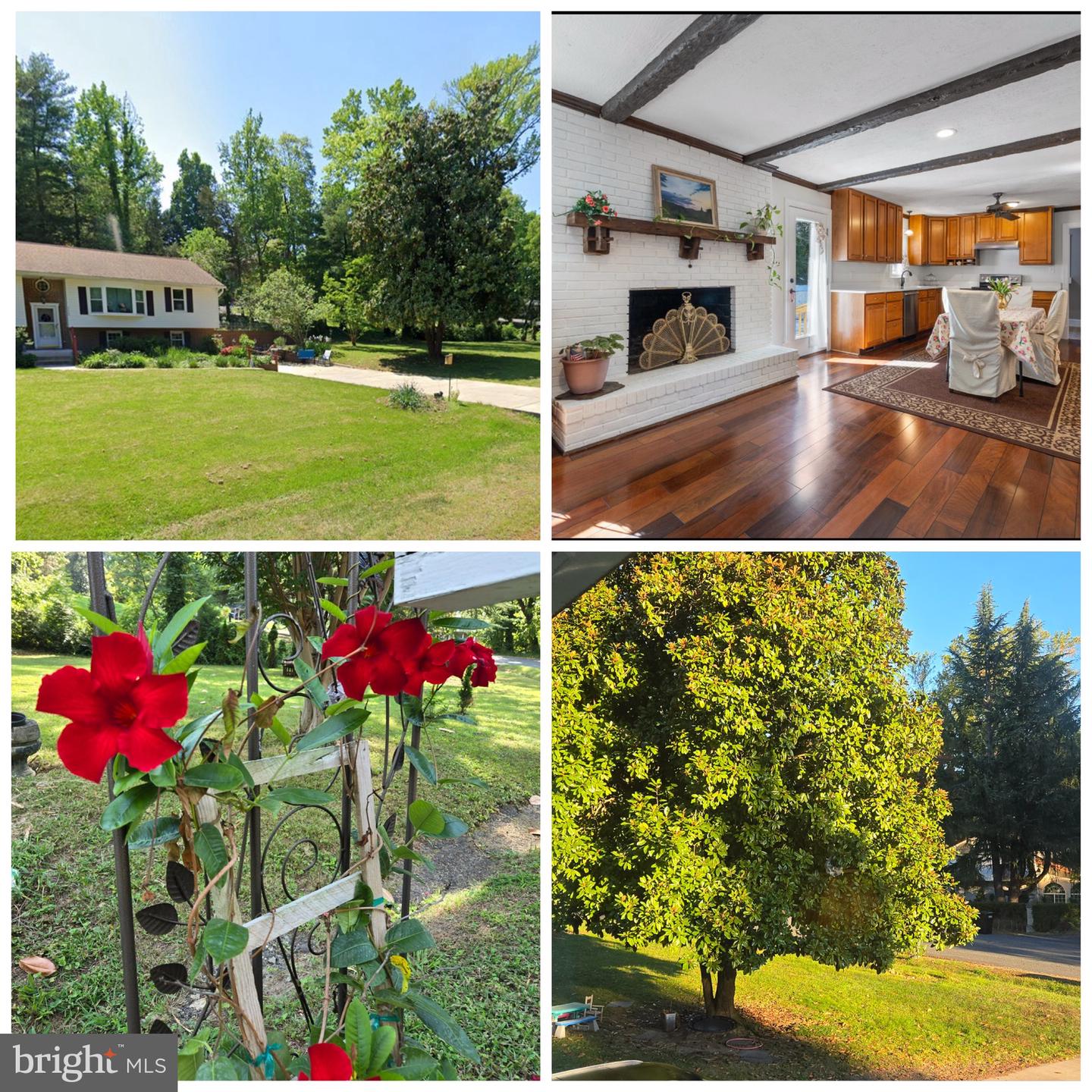 115 WOODLAND RD, FREDERICKSBURG, Virginia 22401, 5 Bedrooms Bedrooms, ,3 BathroomsBathrooms,Residential,For sale,115 WOODLAND RD,VAFB2007446 MLS # VAFB2007446
