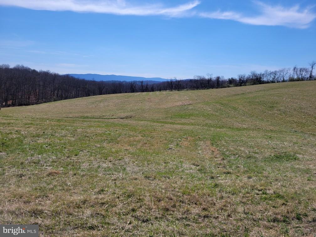 RED OAK ROAD, CROSS JUNCTION, Virginia 22625, 3 Bedrooms Bedrooms, ,3 BathroomsBathrooms,Residential,For sale,RED OAK ROAD,VAFV2024390 MLS # VAFV2024390
