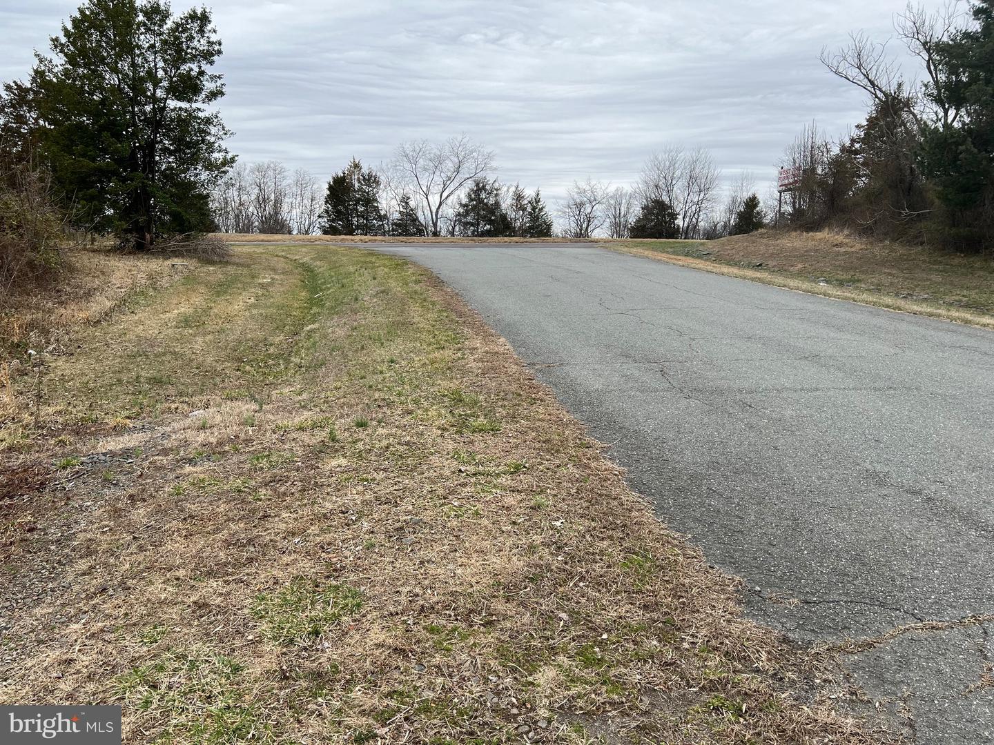 6485 S SEMINOLE TRAIL, ROCHELLE, Virginia 22738, ,Land,For sale,6485 S SEMINOLE TRAIL,VAMA2002052 MLS # VAMA2002052