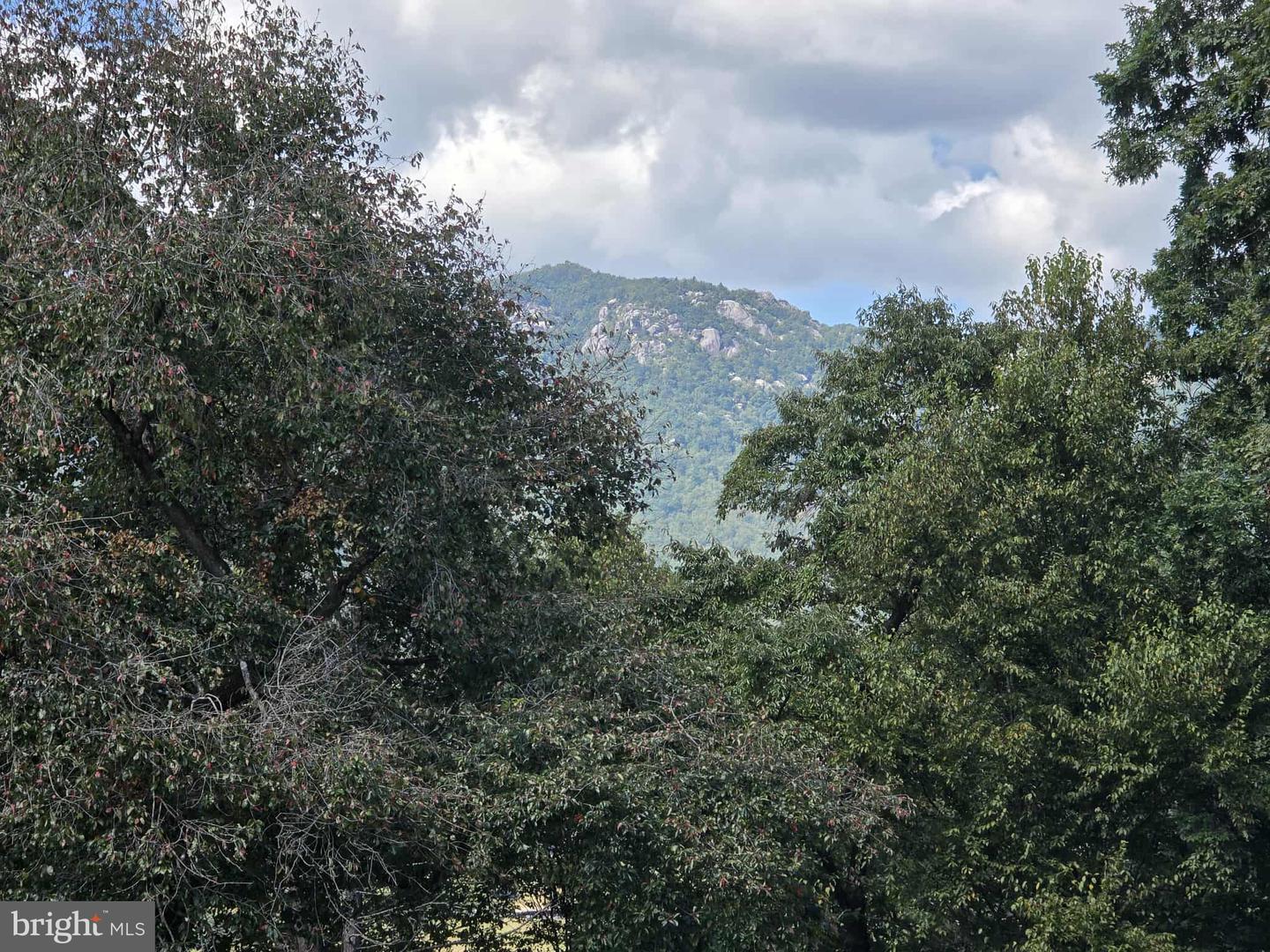 177 CHURCH HILL RD, ETLAN, Virginia 22719, 3 Bedrooms Bedrooms, ,1 BathroomBathrooms,Residential,For sale,177 CHURCH HILL RD,VAMA2002056 MLS # VAMA2002056 177 CHURCH HILL RD, ETLAN, Virginia 22719, 3 Bedrooms Bedrooms, ,1 BathroomBathrooms,Residential,For sale,177 CHURCH HILL RD,VAMA2002056 MLS # VAMA2002056