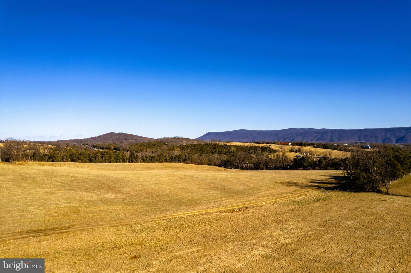 BROOK CREEK ROAD, TOMS BROOK, Virginia 22660, ,Land,For sale,BROOK CREEK ROAD,VASH2010672 MLS # VASH2010672