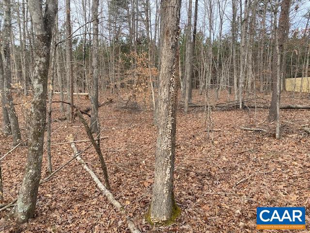 0 PINEHURST DR #LOT 209, GORDONSVILLE, Virginia 22942, ,Land,For sale,0 PINEHURST DR #LOT 209,660969 MLS # 660969