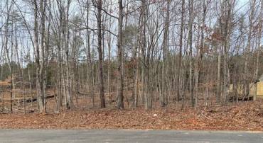 0 PINEHURST DR #LOT 209, GORDONSVILLE, Virginia 22942, ,Land,For sale,0 PINEHURST DR #LOT 209,660969 MLS # 660969