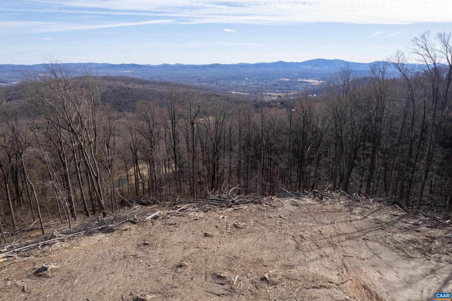 0 SADDLE HOLLOW RD, CROZET, Virginia 22932, ,Farm,For sale,0 SADDLE HOLLOW RD,660978 MLS # 660978