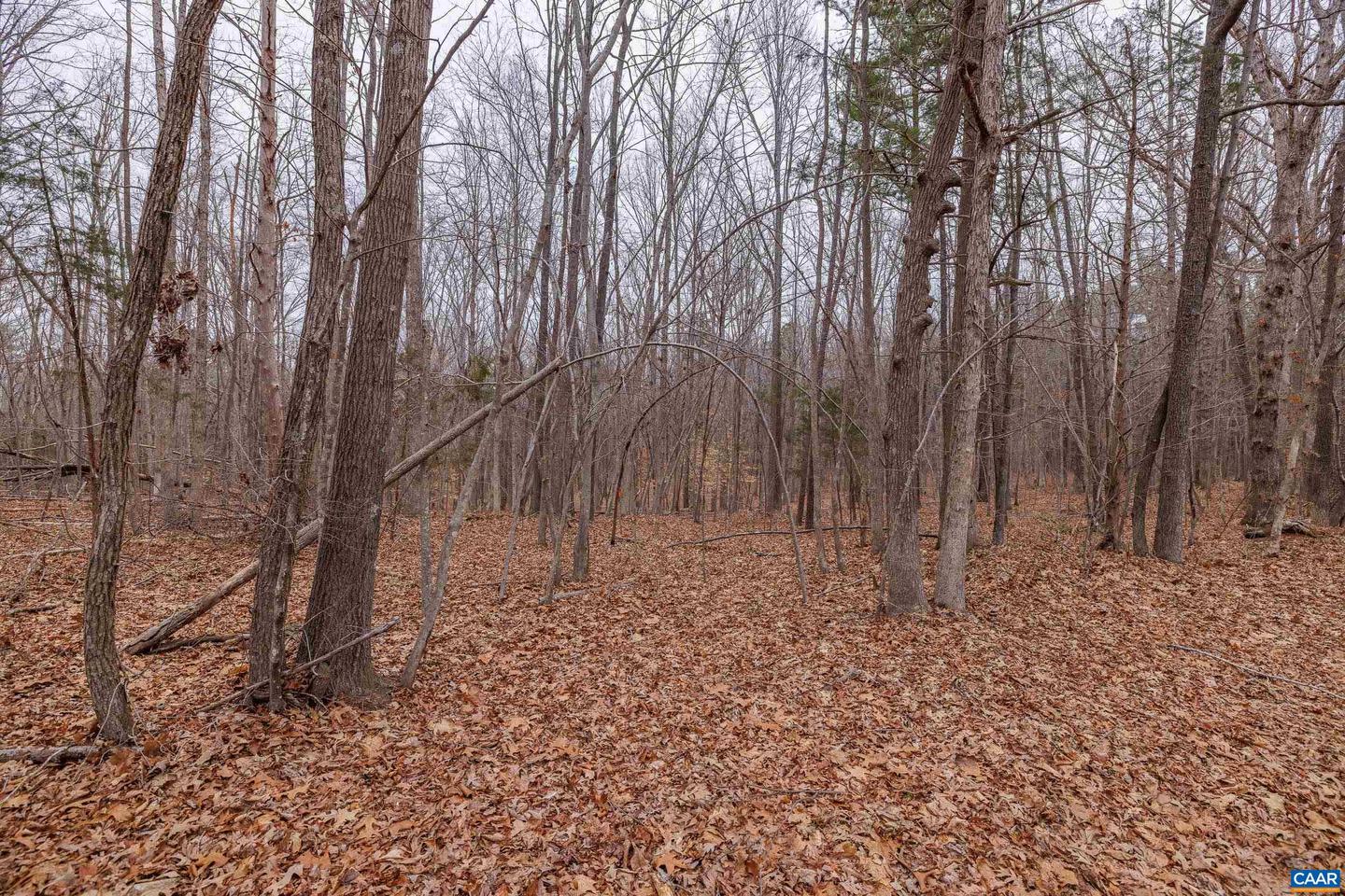 LOT 1 PINEY GREEN RD, CREWE, Virginia 23930, ,Land,For sale,LOT 1 PINEY GREEN RD,661000 MLS # 661000