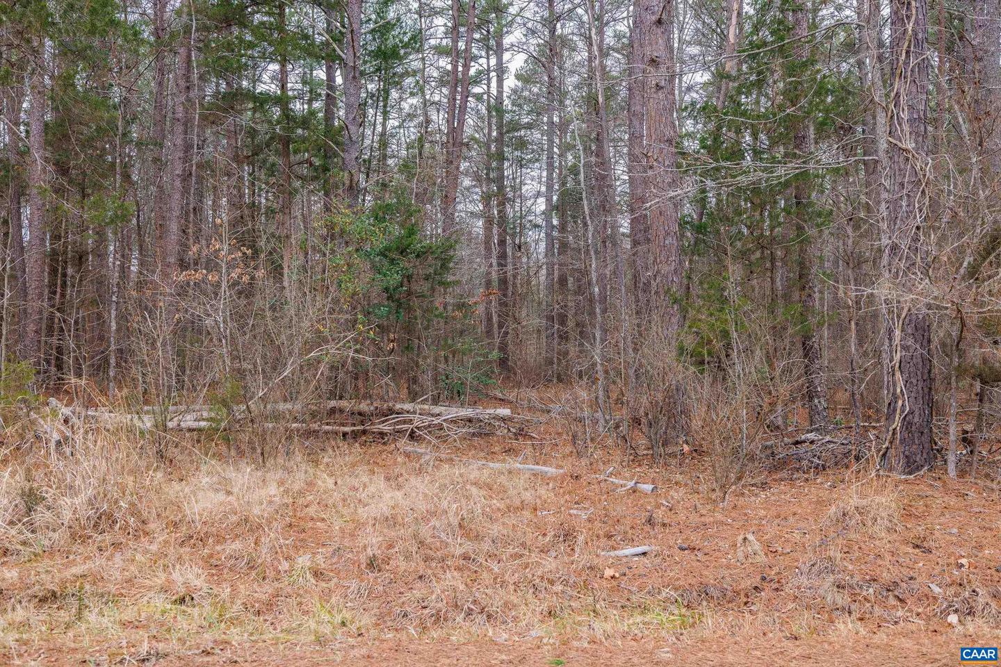 LOT 1 PINEY GREEN RD, CREWE, Virginia 23930, ,Land,For sale,LOT 1 PINEY GREEN RD,661000 MLS # 661000