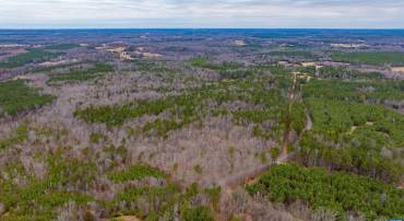 LOT 1 PINEY GREEN RD, CREWE, Virginia 23930, ,Land,For sale,LOT 1 PINEY GREEN RD,661000 MLS # 661000