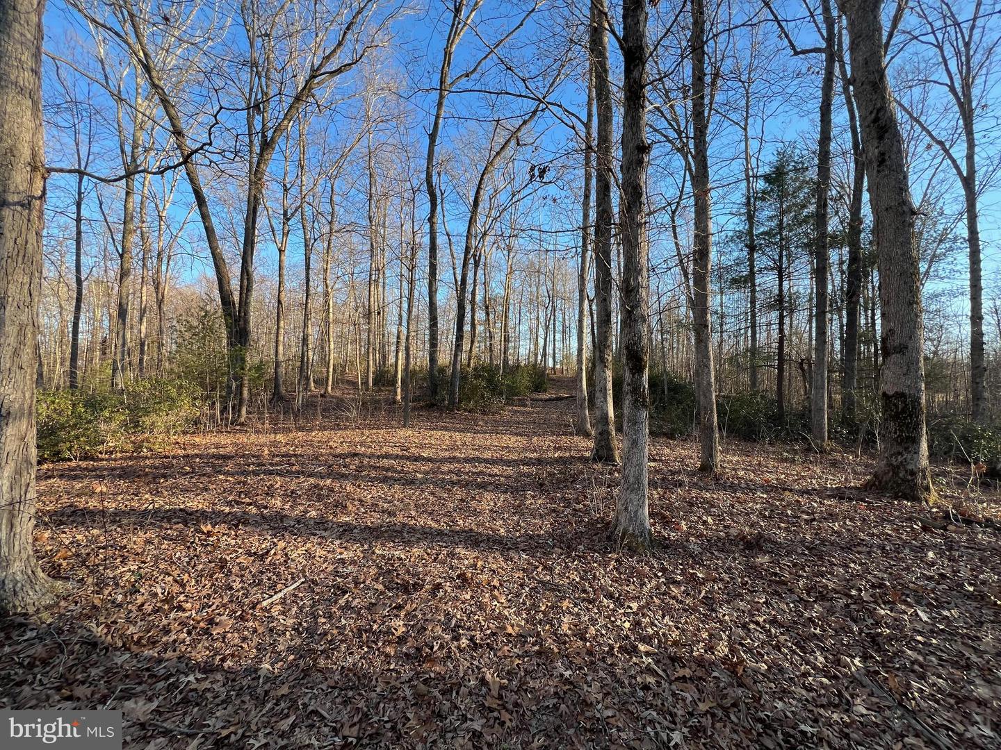 0 WOODS VIEW LN, REVA, Virginia 22735, ,Land,For sale,0 WOODS VIEW LN,VACU2009802 MLS # VACU2009802