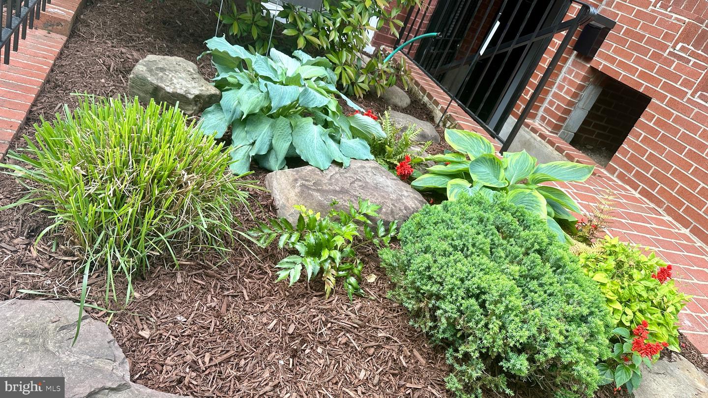 507 G ST NE, WASHINGTON, District Of Columbia 20002, 3 Bedrooms Bedrooms, 4 Rooms Rooms,3 BathroomsBathrooms,Residential,For sale,507 G ST NE,DCDC2185896 MLS # DCDC2185896