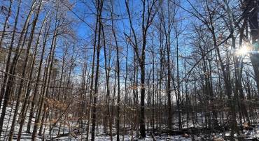 0 STONE CHIMNEYS RD #1, NELLYSFORD, Virginia 22958, ,Land,For sale,0 STONE CHIMNEYS RD #1,661050 MLS # 661050