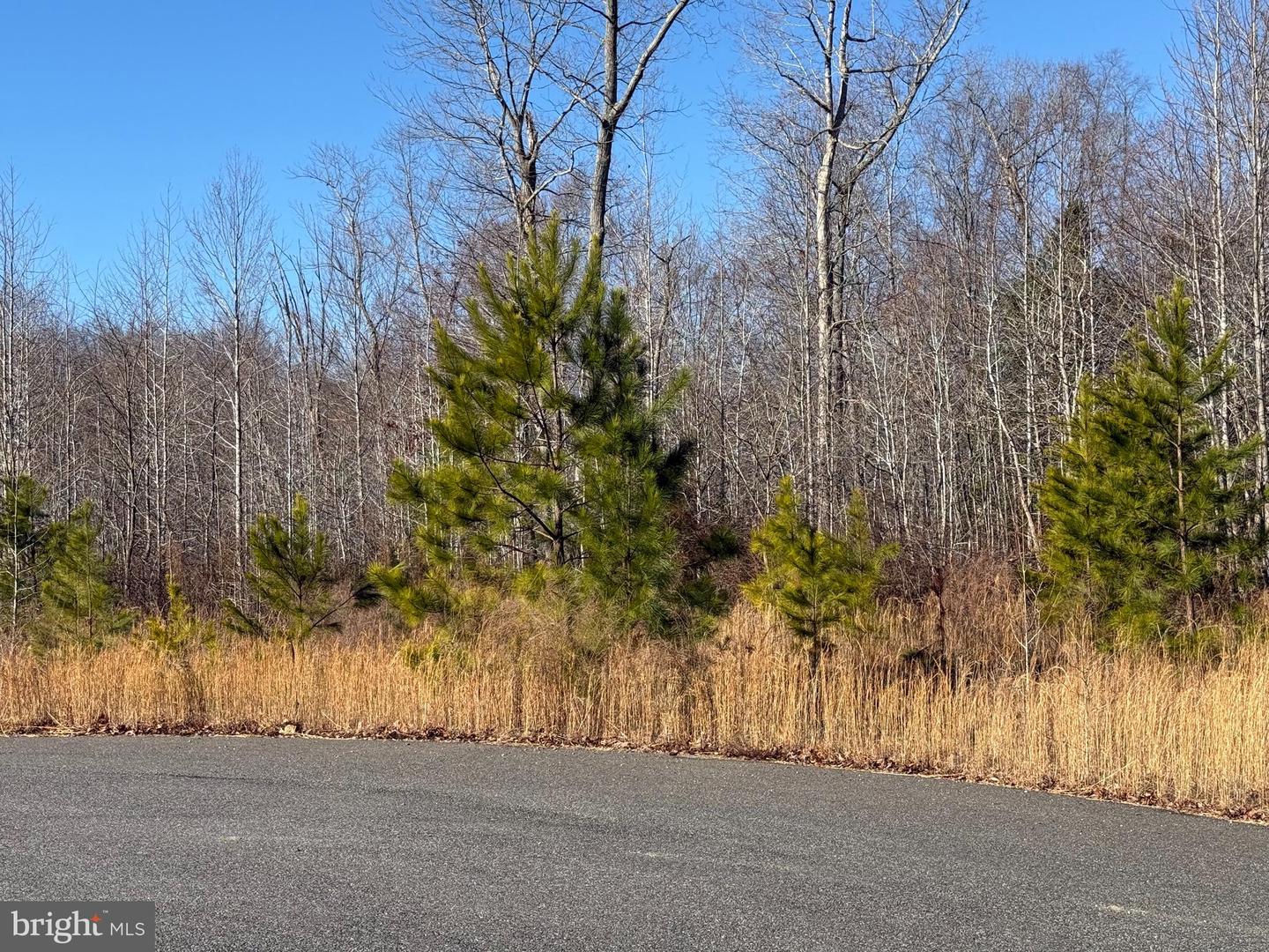 CATKIN, KING GEORGE, Virginia 22485, ,Land,For sale,CATKIN,VAKG2006054 MLS # VAKG2006054