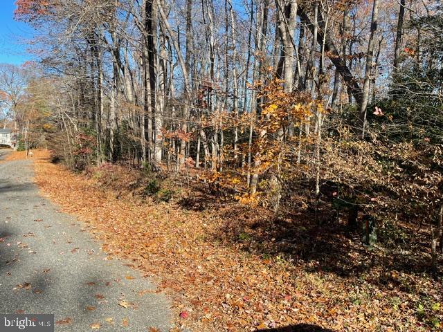 HENRY DRIVE, MONTROSS, Virginia 22520, ,Land,For sale,HENRY DRIVE,VAWE2008254 MLS # VAWE2008254