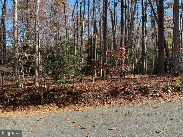 HENRY DRIVE, MONTROSS, Virginia 22520, ,Land,For sale,HENRY DRIVE,VAWE2008254 MLS # VAWE2008254