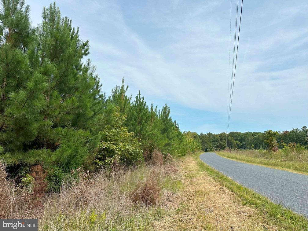 RIDGE ROAD, ARVONIA, Virginia 23004, ,Farm,For sale,RIDGE ROAD,VABH2000162 MLS # VABH2000162