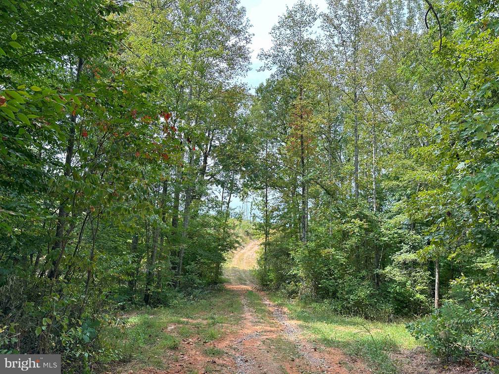 RIDGE ROAD, ARVONIA, Virginia 23004, ,Farm,For sale,RIDGE ROAD,VABH2000162 MLS # VABH2000162