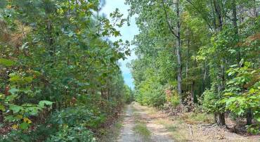 RIDGE ROAD, ARVONIA, Virginia 23004, ,Farm,For sale,RIDGE ROAD,VABH2000162 MLS # VABH2000162