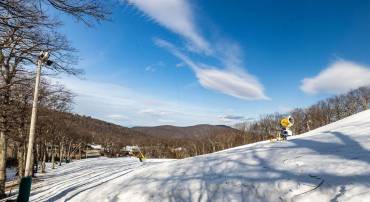 141 EAGLES CT CONDOS, WINTERGREEN RESORT, Virginia 22967, 2 Bedrooms Bedrooms, ,1 BathroomBathrooms,Residential,For sale,141 EAGLES CT CONDOS,661063 MLS # 661063