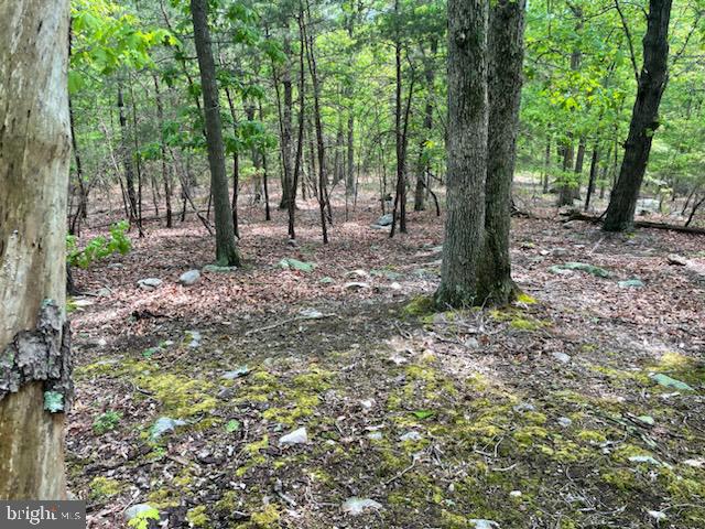 0 MOUNTAIN RUN ROAD, LURAY, Virginia 22835, ,Land,For sale,0 MOUNTAIN RUN ROAD,VAPA2004494 MLS # VAPA2004494