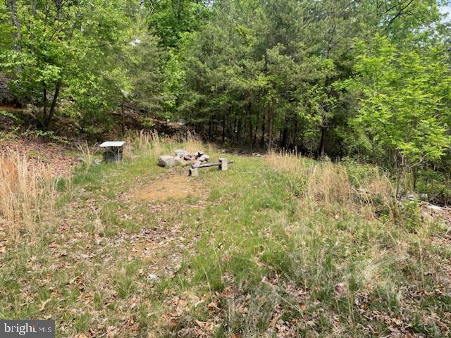 0 MOUNTAIN RUN ROAD, LURAY, Virginia 22835, ,Land,For sale,0 MOUNTAIN RUN ROAD,VAPA2004494 MLS # VAPA2004494