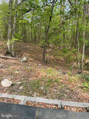 0 MOUNTAIN RUN ROAD, LURAY, Virginia 22835, ,Land,For sale,0 MOUNTAIN RUN ROAD,VAPA2004494 MLS # VAPA2004494