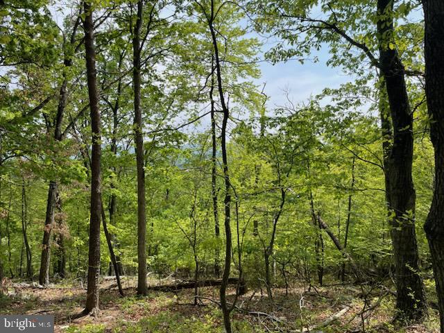 0 MOUNTAIN RUN ROAD, LURAY, Virginia 22835, ,Land,For sale,0 MOUNTAIN RUN ROAD,VAPA2004494 MLS # VAPA2004494