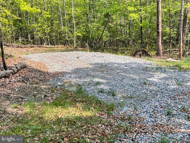 0 MOUNTAIN RUN ROAD, LURAY, Virginia 22835, ,Land,For sale,0 MOUNTAIN RUN ROAD,VAPA2004494 MLS # VAPA2004494