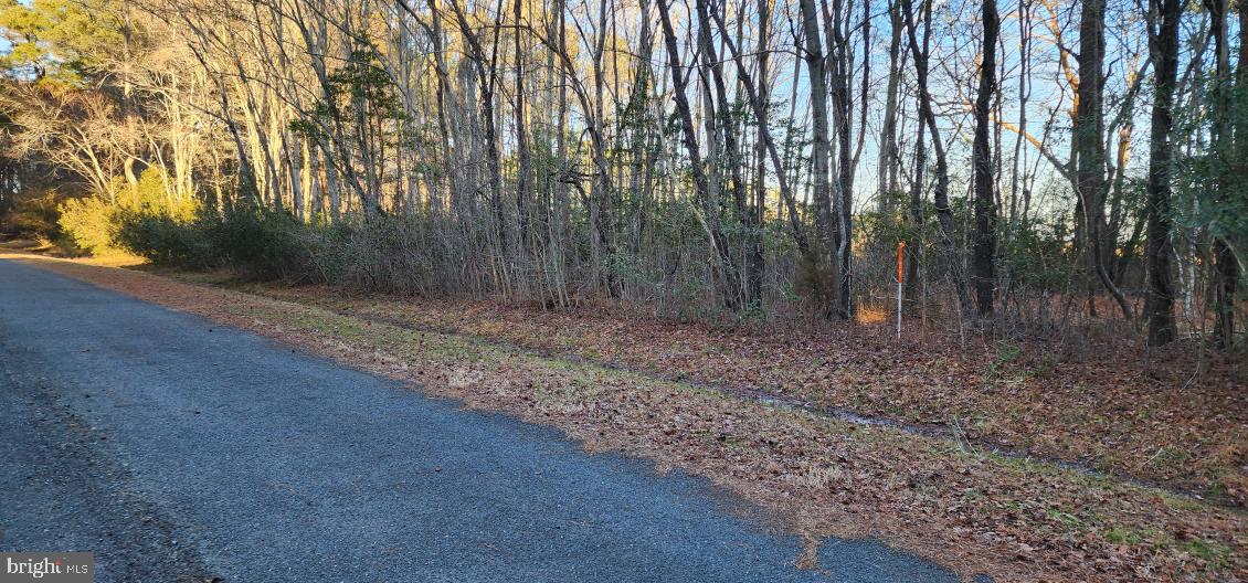 LOT 55 NEPTUNE DR, GREENBACKVILLE, Virginia 23356, ,Land,For sale,LOT 55 NEPTUNE DR,VAAC2001656 MLS # VAAC2001656