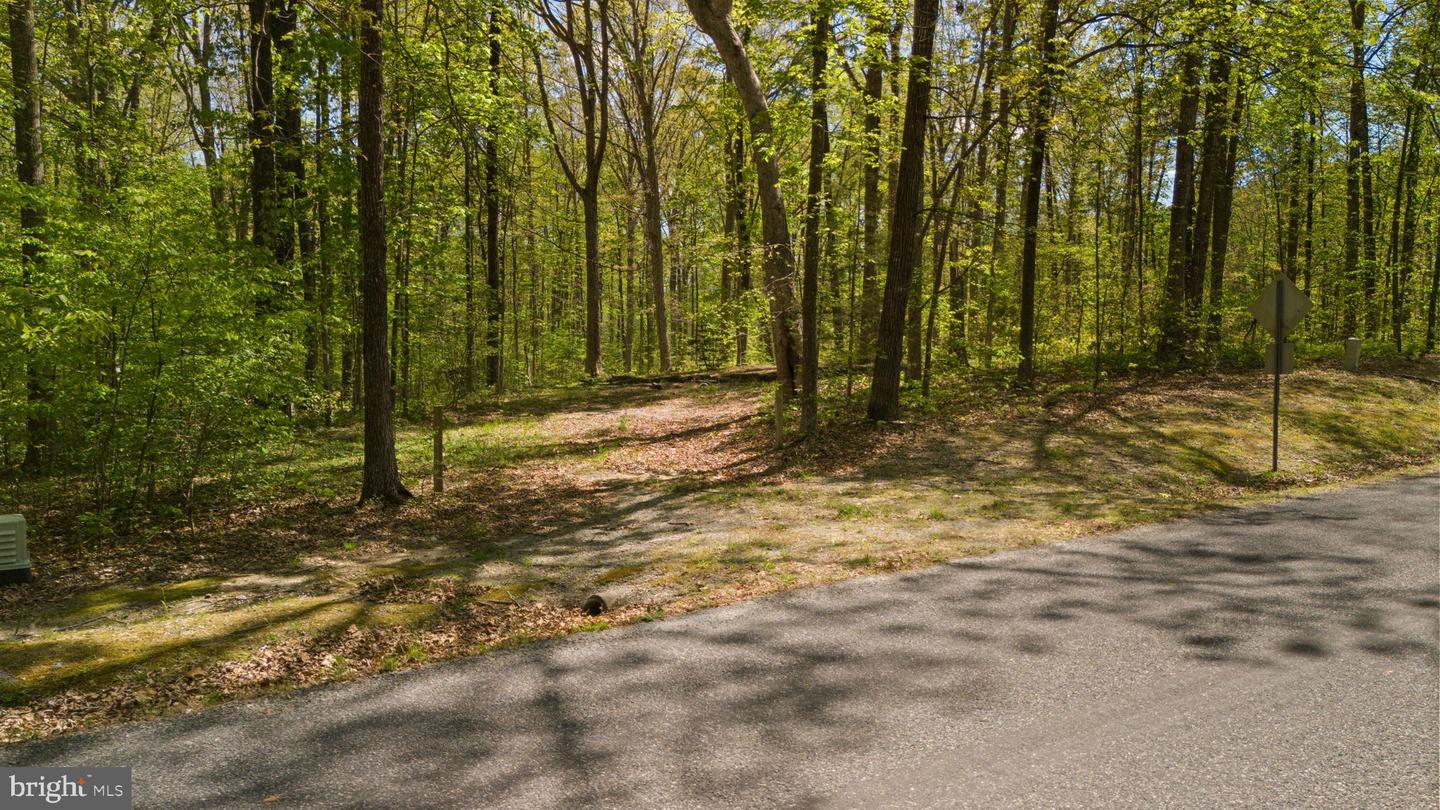 2937 BLOUNT DR, BUMPASS, Virginia 23024, ,Land,For sale,2937 BLOUNT DR,VASP2030888 MLS # VASP2030888