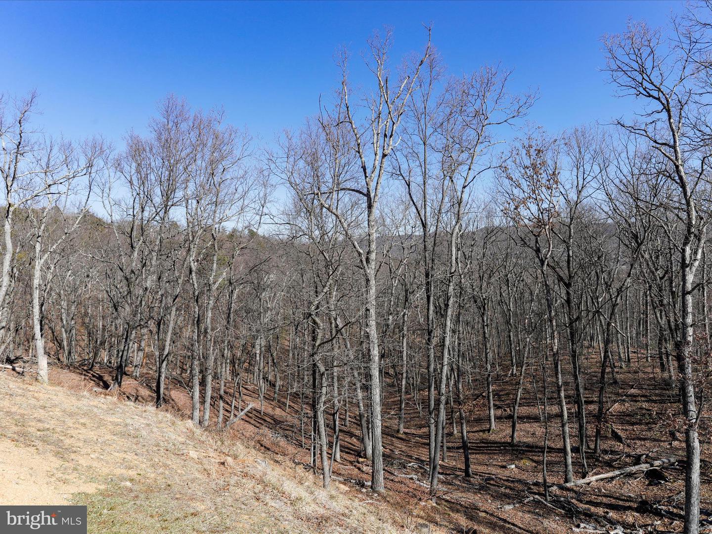 161 MT SINAI PT, FORT VALLEY, Virginia 22652, 3 Bedrooms Bedrooms, ,2 BathroomsBathrooms,Residential,For sale,161 MT SINAI PT,VASH2010586 MLS # VASH2010586