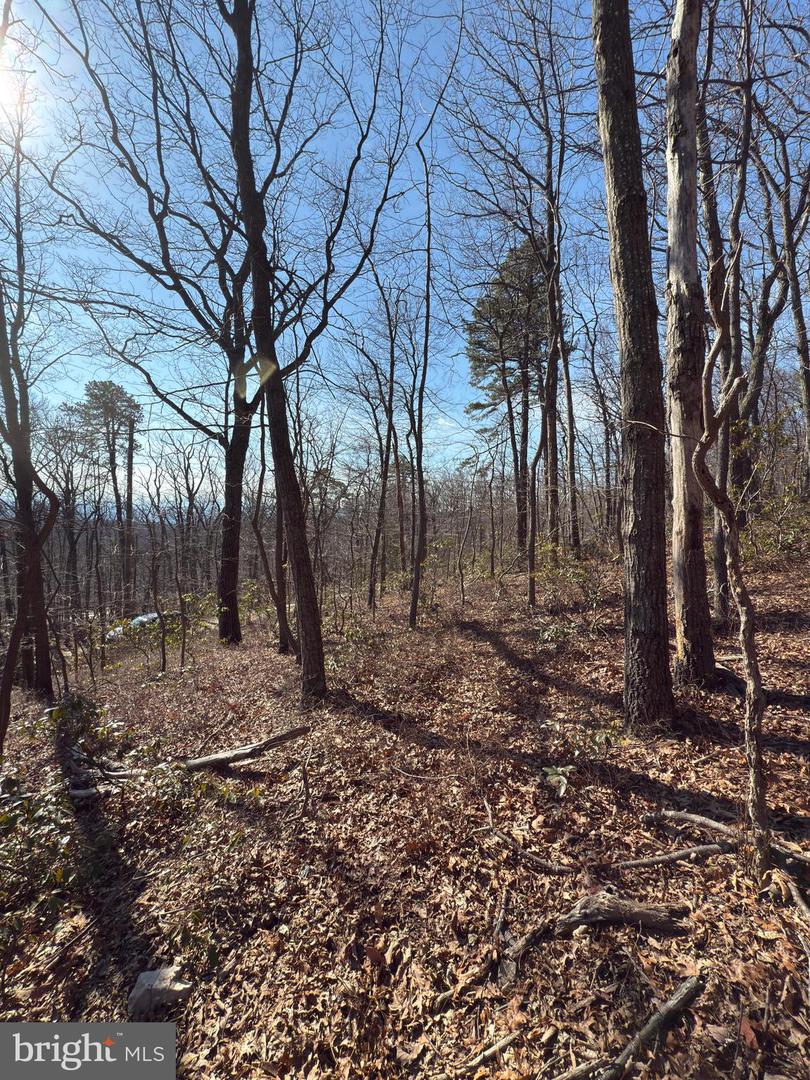 LOT 10, 11, 12-13 A-602 FOX TRL, WINCHESTER, Virginia 22602, ,Land,For sale,LOT 10,11,12-13 A-602 FOX TRL,VAFV2024536 MLS # VAFV2024536 LOT 10, 11, 12-13 A-602 FOX TRL, WINCHESTER, Virginia 22602, ,Land,For sale,LOT 10,11,12-13 A-602 FOX TRL,VAFV2024536 MLS # VAFV2024536