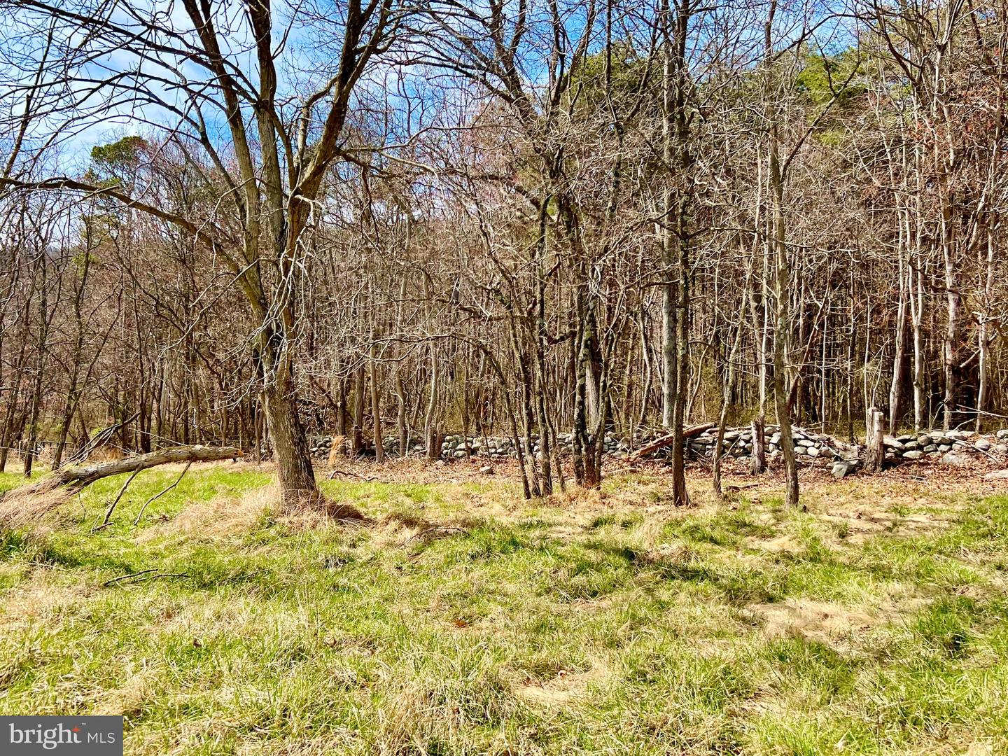 49 + ACRES SUNNYSIDE RD, SHENANDOAH, Virginia 22849, ,Land,For sale,49 + ACRES SUNNYSIDE RD,VAPA2002090 MLS # VAPA2002090