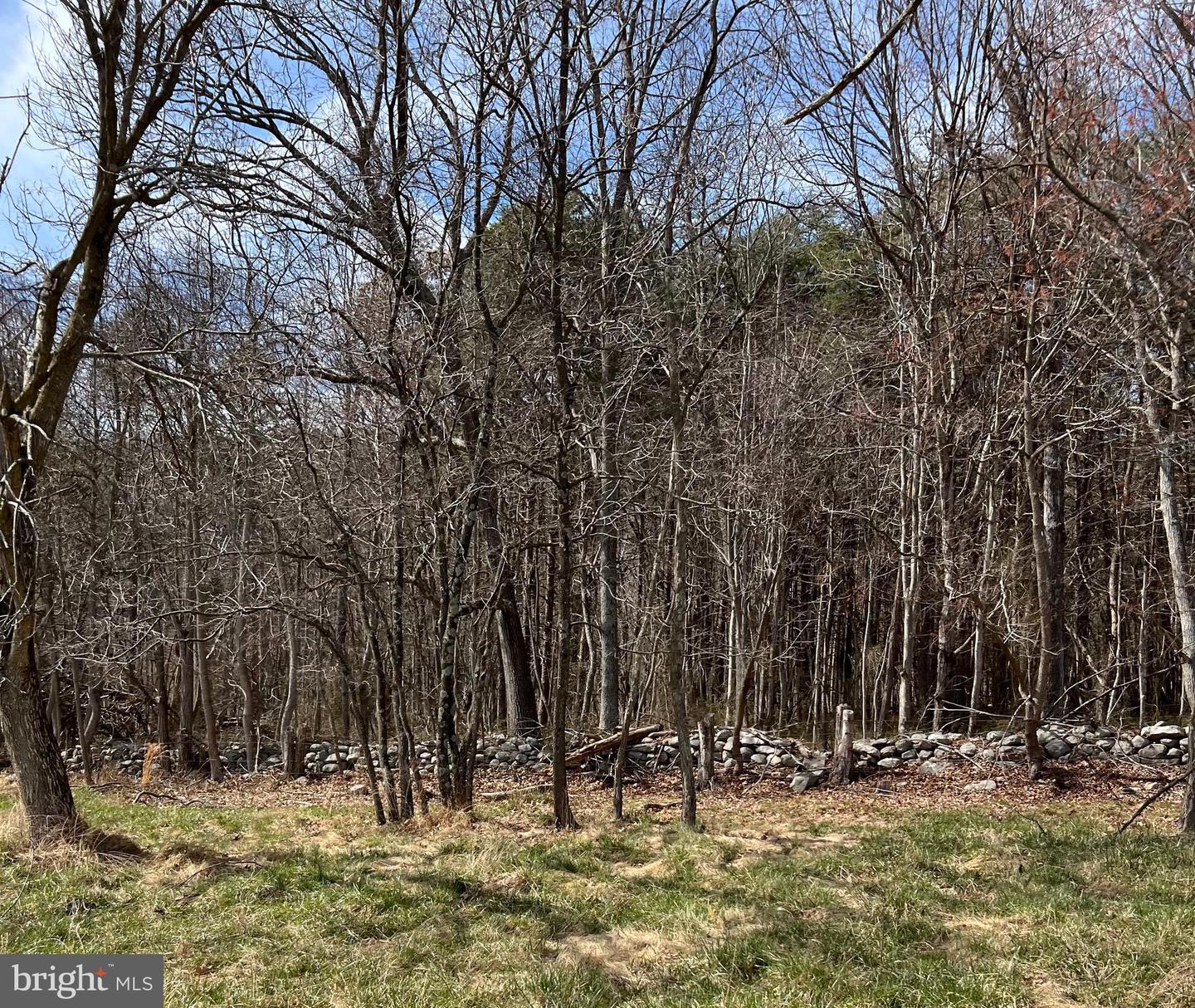 49 + ACRES SUNNYSIDE RD, SHENANDOAH, Virginia 22849, ,Land,For sale,49 + ACRES SUNNYSIDE RD,VAPA2002090 MLS # VAPA2002090