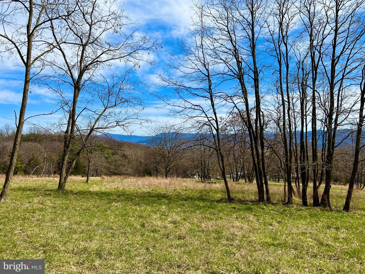 49 + ACRES SUNNYSIDE RD, SHENANDOAH, Virginia 22849, ,Land,For sale,49 + ACRES SUNNYSIDE RD,VAPA2002090 MLS # VAPA2002090