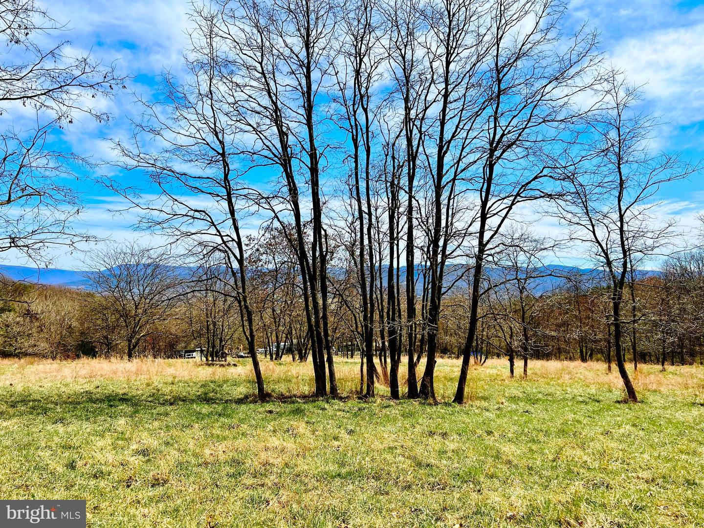 49 + ACRES SUNNYSIDE RD, SHENANDOAH, Virginia 22849, ,Land,For sale,49 + ACRES SUNNYSIDE RD,VAPA2002090 MLS # VAPA2002090