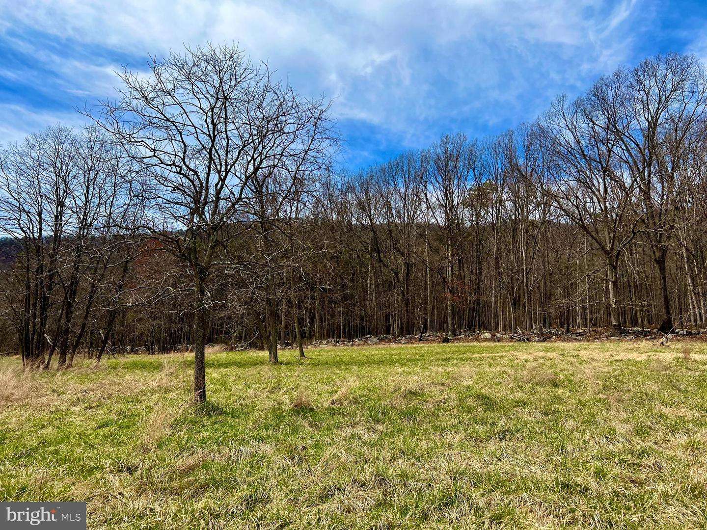 49 + ACRES SUNNYSIDE RD, SHENANDOAH, Virginia 22849, ,Land,For sale,49 + ACRES SUNNYSIDE RD,VAPA2002090 MLS # VAPA2002090