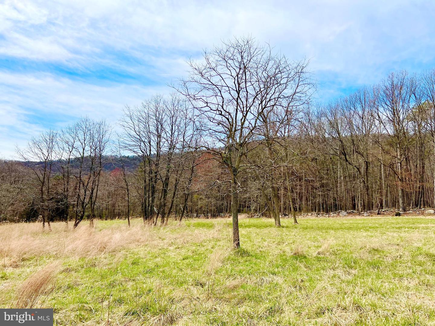 49 + ACRES SUNNYSIDE RD, SHENANDOAH, Virginia 22849, ,Land,For sale,49 + ACRES SUNNYSIDE RD,VAPA2002090 MLS # VAPA2002090