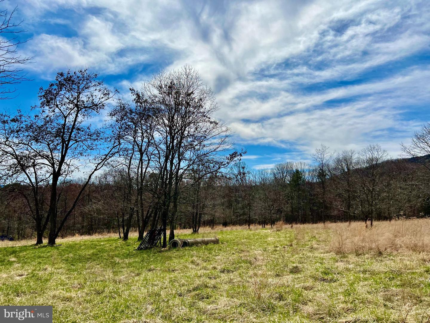 49 + ACRES SUNNYSIDE RD, SHENANDOAH, Virginia 22849, ,Land,For sale,49 + ACRES SUNNYSIDE RD,VAPA2002090 MLS # VAPA2002090