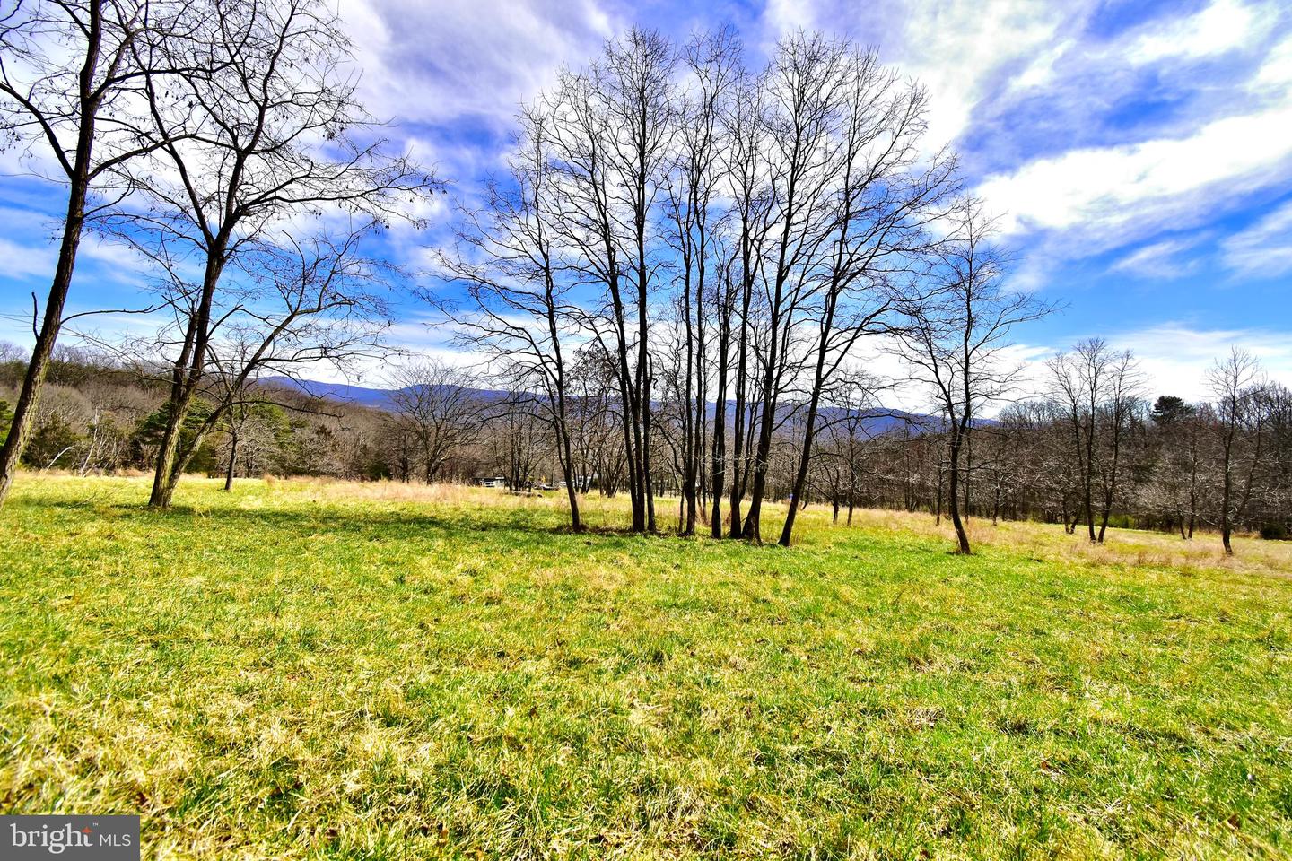 49 + ACRES SUNNYSIDE RD, SHENANDOAH, Virginia 22849, ,Land,For sale,49 + ACRES SUNNYSIDE RD,VAPA2002090 MLS # VAPA2002090