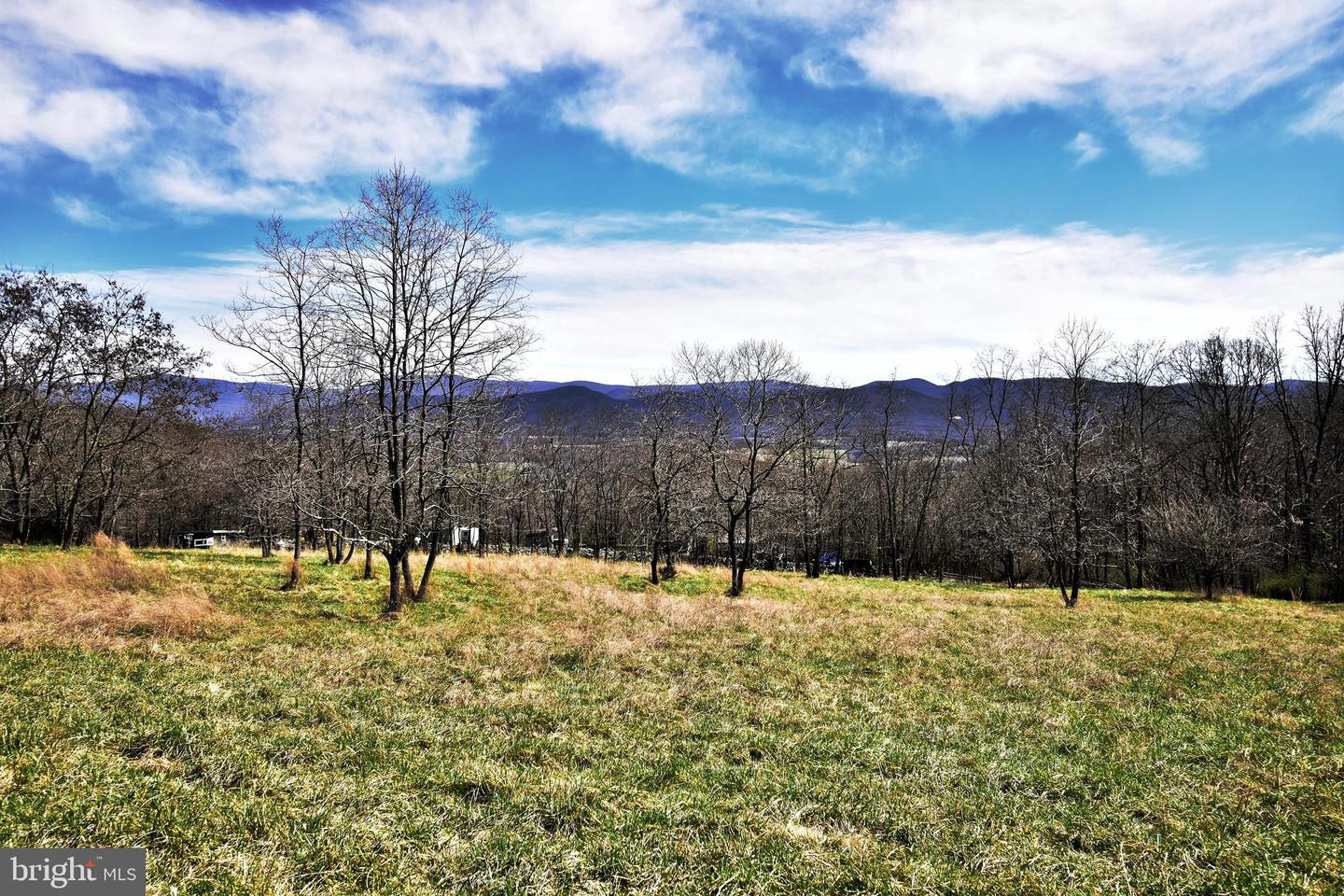 49 + ACRES SUNNYSIDE RD, SHENANDOAH, Virginia 22849, ,Land,For sale,49 + ACRES SUNNYSIDE RD,VAPA2002090 MLS # VAPA2002090