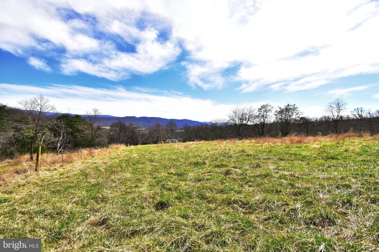 49 + ACRES SUNNYSIDE RD, SHENANDOAH, Virginia 22849, ,Land,For sale,49 + ACRES SUNNYSIDE RD,VAPA2002090 MLS # VAPA2002090