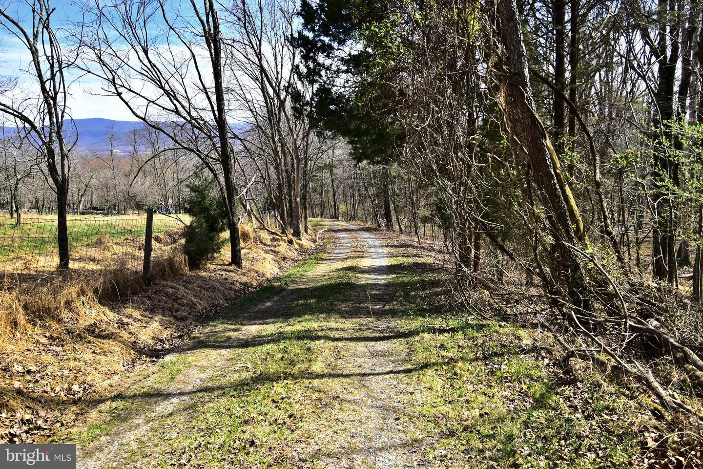 49 + ACRES SUNNYSIDE RD, SHENANDOAH, Virginia 22849, ,Land,For sale,49 + ACRES SUNNYSIDE RD,VAPA2002090 MLS # VAPA2002090