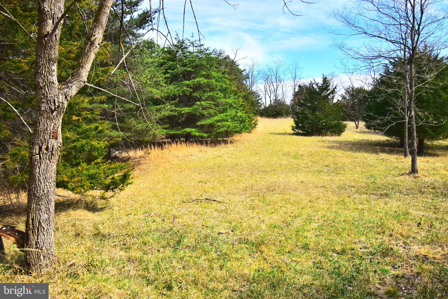 49 + ACRES SUNNYSIDE RD, SHENANDOAH, Virginia 22849, ,Land,For sale,49 + ACRES SUNNYSIDE RD,VAPA2002090 MLS # VAPA2002090