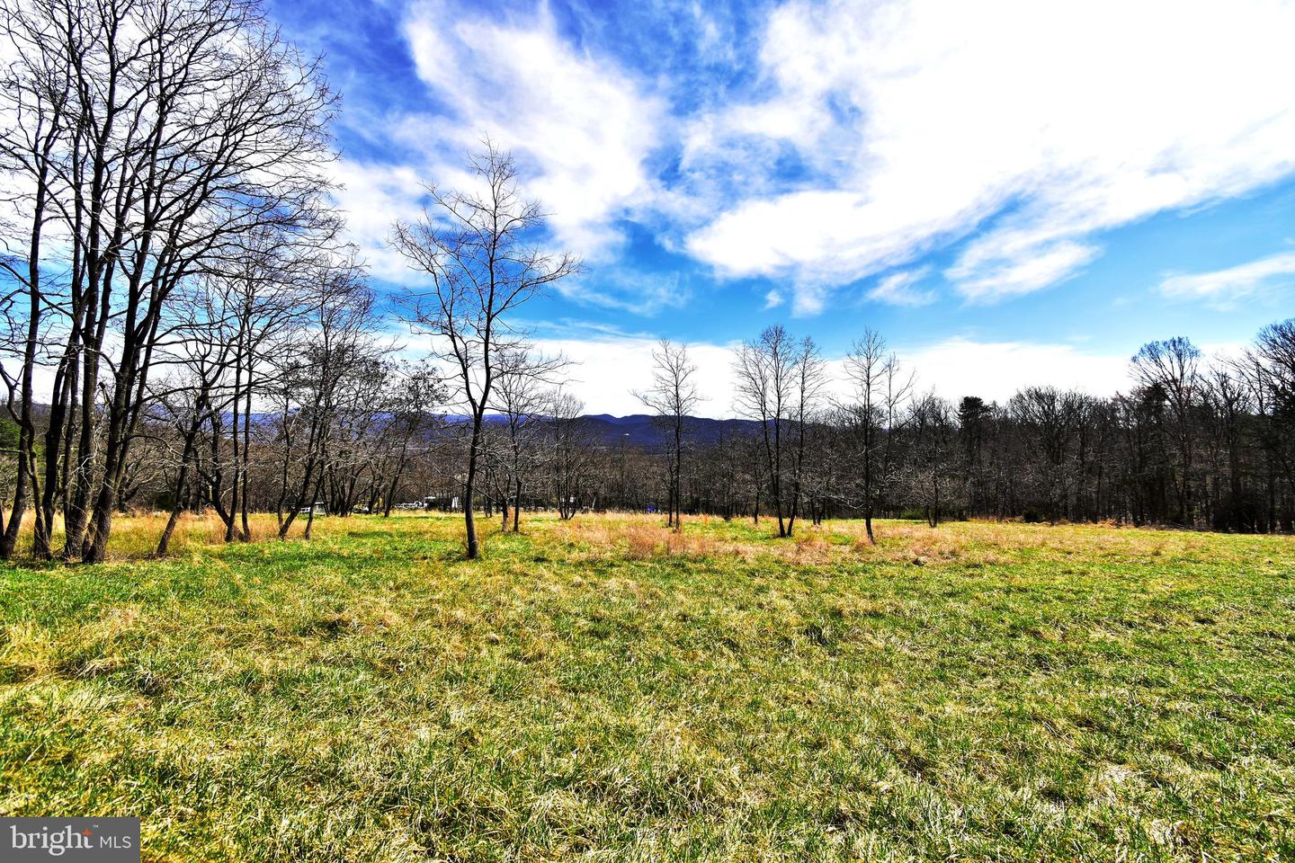 49 + ACRES SUNNYSIDE RD, SHENANDOAH, Virginia 22849, ,Land,For sale,49 + ACRES SUNNYSIDE RD,VAPA2002090 MLS # VAPA2002090