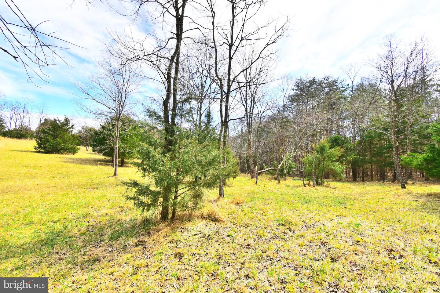 49 + ACRES SUNNYSIDE RD, SHENANDOAH, Virginia 22849, ,Land,For sale,49 + ACRES SUNNYSIDE RD,VAPA2002090 MLS # VAPA2002090