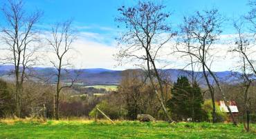 49 + ACRES SUNNYSIDE RD, SHENANDOAH, Virginia 22849, ,Land,For sale,49 + ACRES SUNNYSIDE RD,VAPA2002090 MLS # VAPA2002090