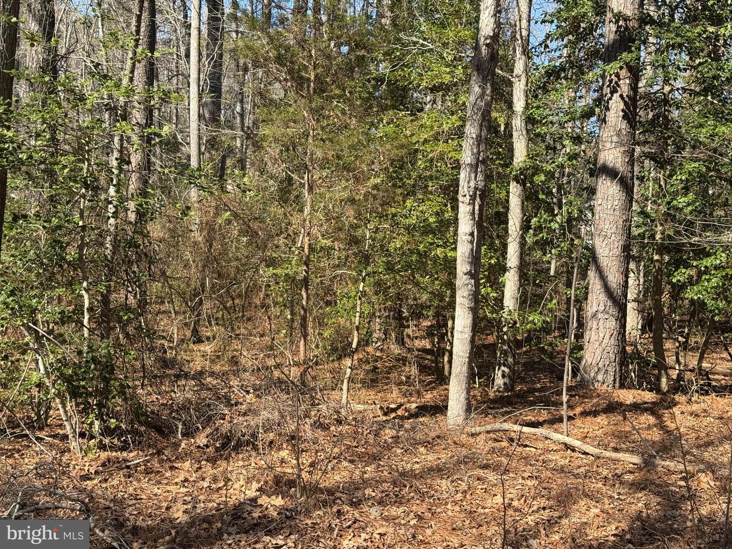 LOT 2055 NEPTUNE CT, GREENBACKVILLE, Virginia 23356, ,Land,For sale,LOT 2055 NEPTUNE CT,VAAC2001648 MLS # VAAC2001648
