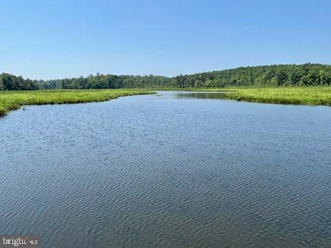 TIDEWATER TRAIL, CARET, Virginia 22436, ,Farm,For sale,TIDEWATER TRAIL,VAES2000732 MLS # VAES2000732